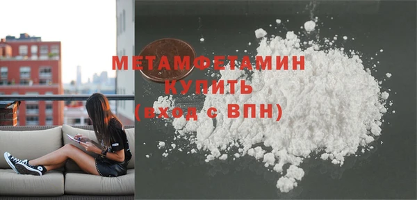гидра Богородск