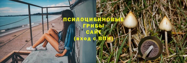 гидра Мегион