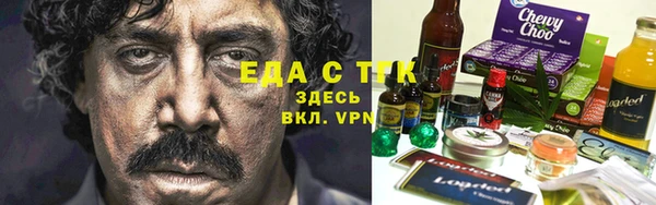 гидра Богородск