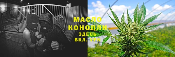 гидра Богородск
