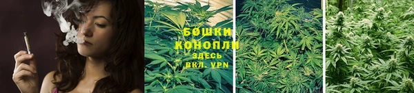 гидра Богородск